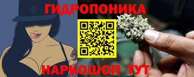 соль ск Краснодар