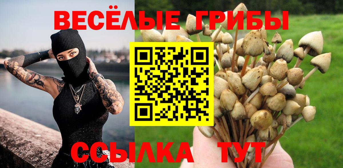 Псилоцибиновые грибы мухоморы Джанкой